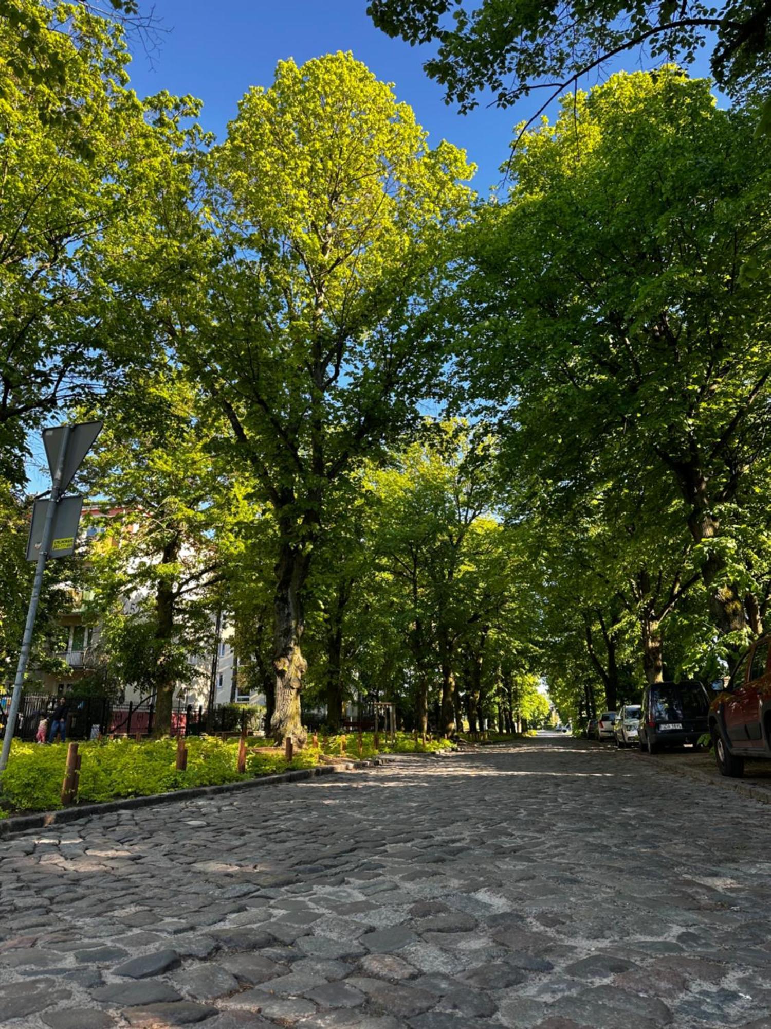 65m2 W Spokojnej Oliwskiej Okolicy Apartment Danzig